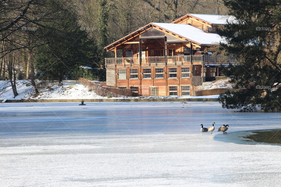 Frozen pond