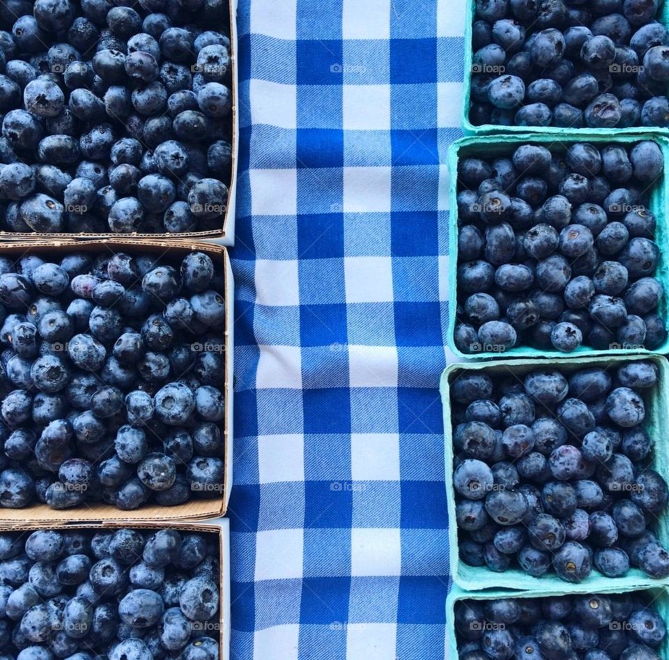 The blueberries are dark, with a slightly frosty appearance, making them look fresh and ready to eat
