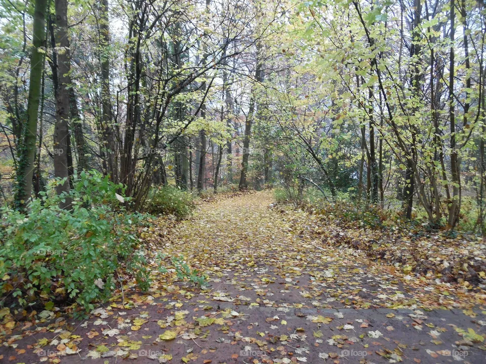 Parc de Mariemont, la Louvière