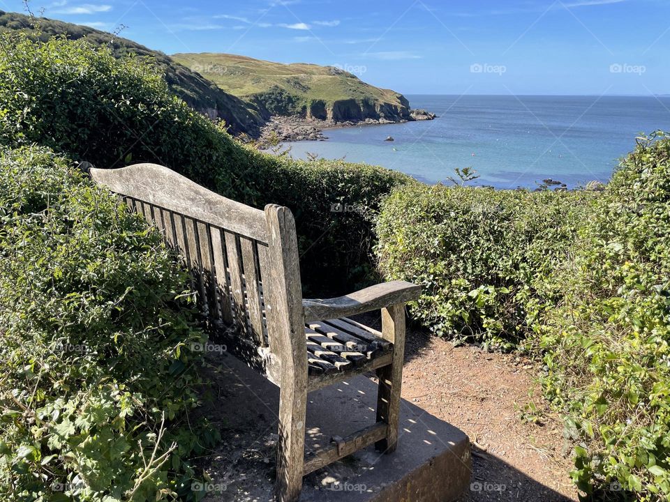 A seat with a view … and lots of bees here too 🐝