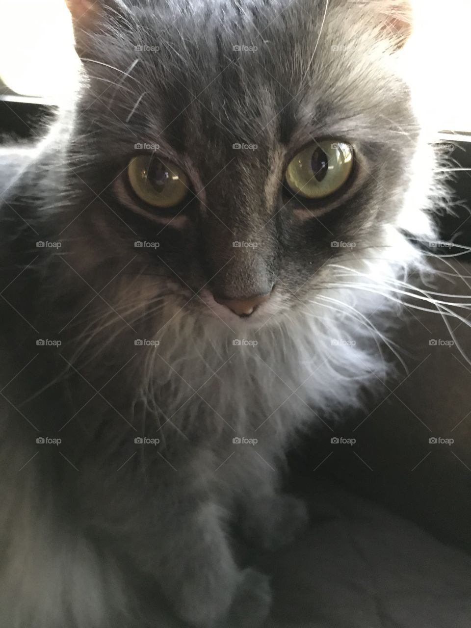 Okay we have been down this road before. No pics before I am fully awake. 