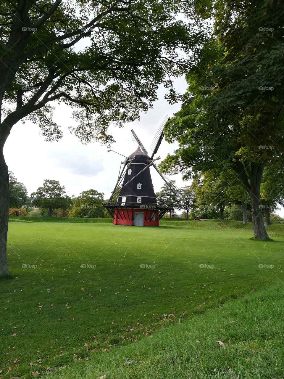 Royal Danmark Windmill in green Landscape 