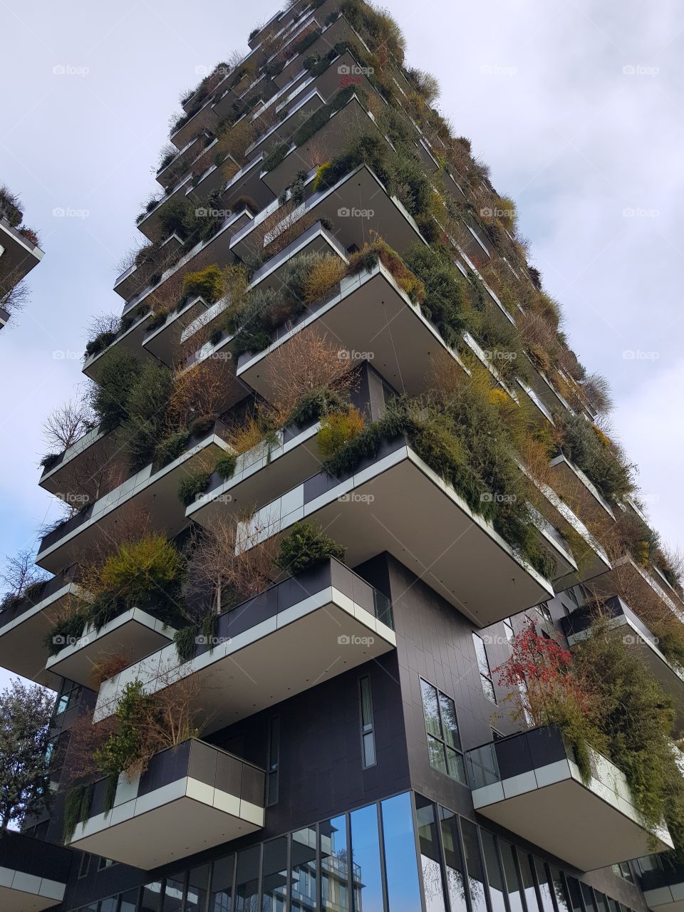Milano, bosco verticale