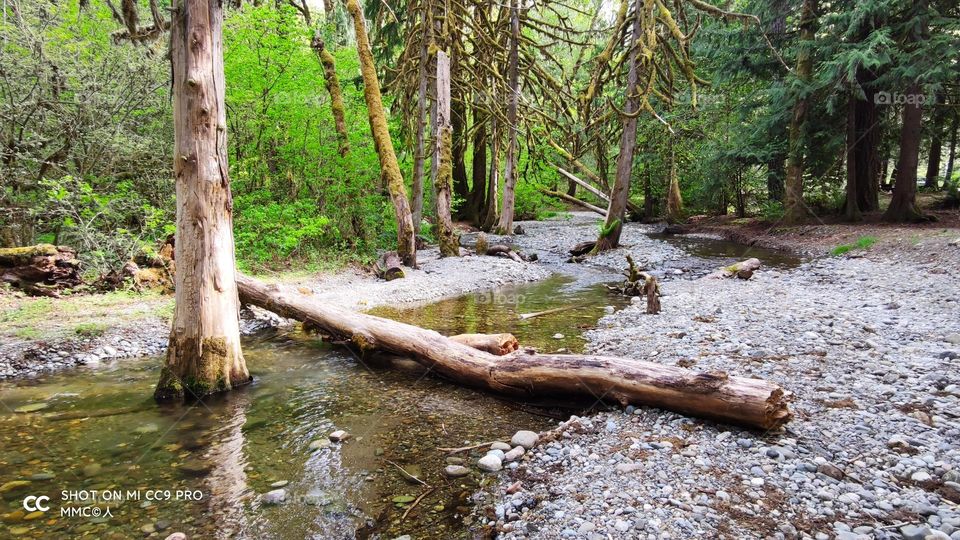 River and Stream series