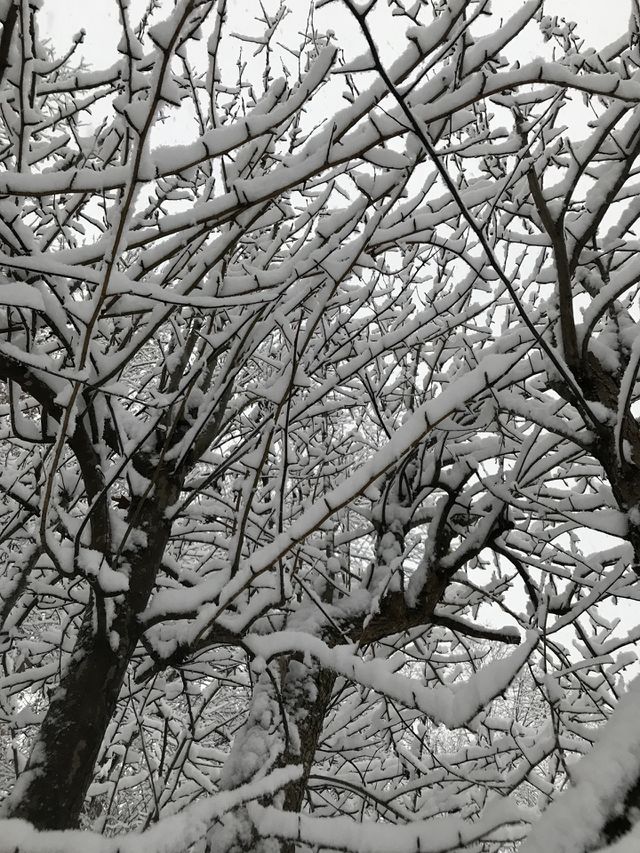 Simply beautiful 