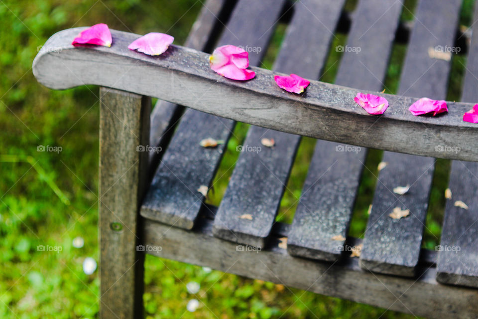 romantic bench