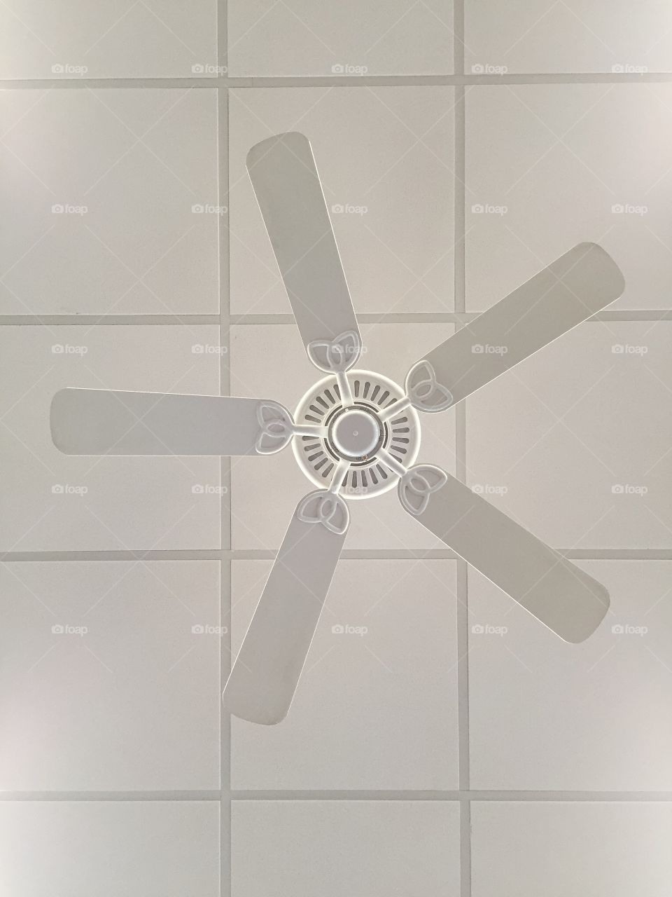 Ceiling fan