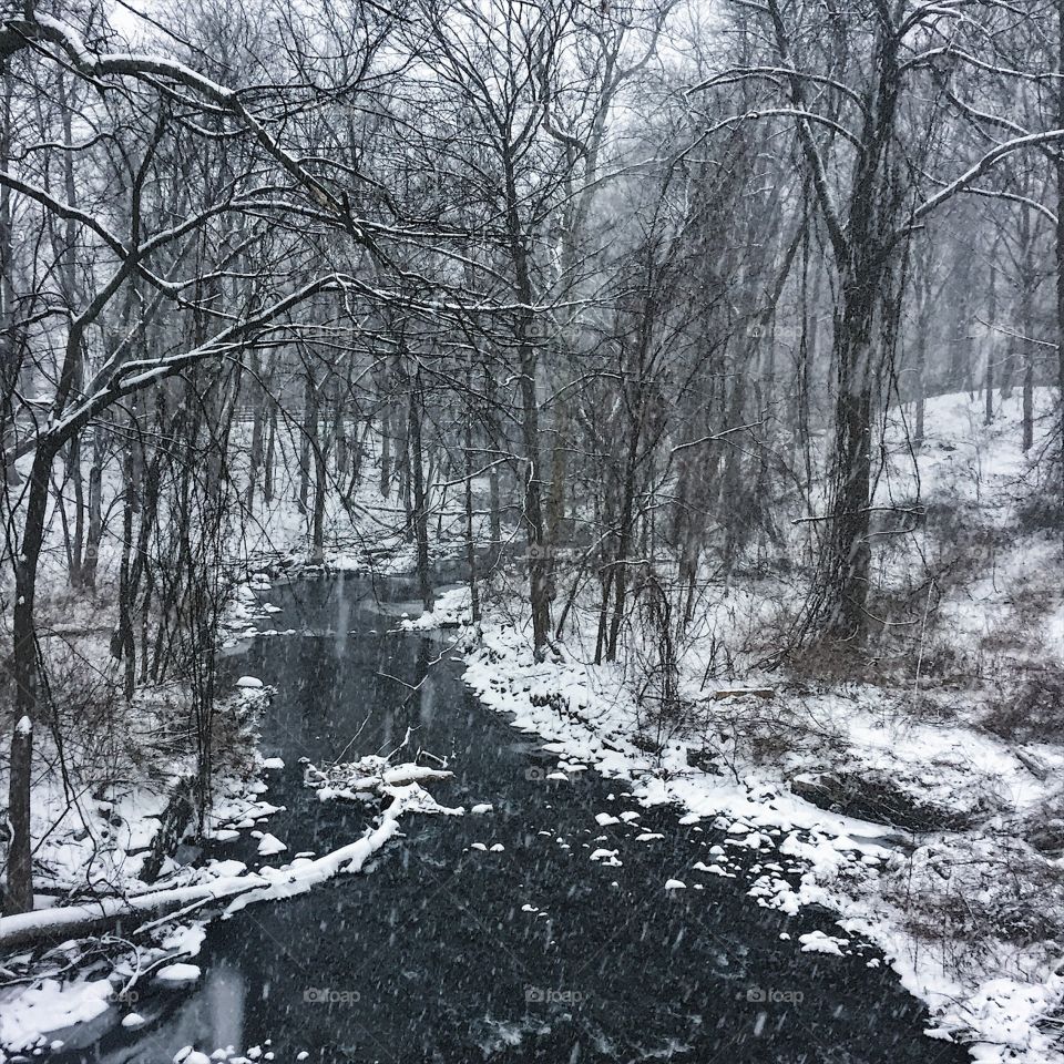 First winter run of the year and it was a wonderland 