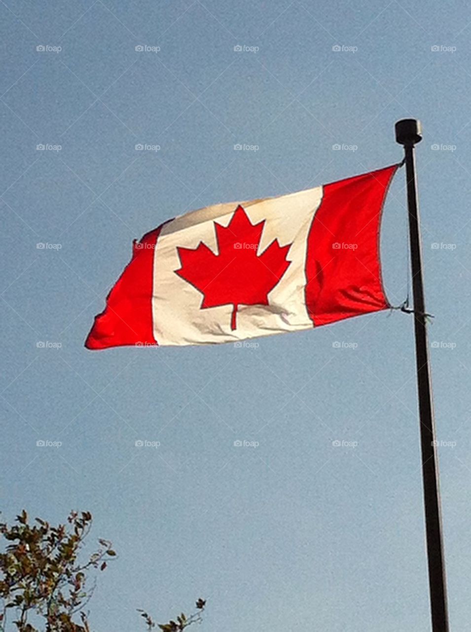 Canada flag