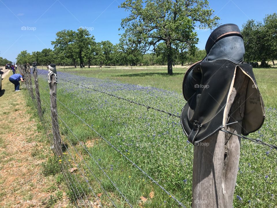 Boots lining a fence post that guards blue bonnets in rural Texas 