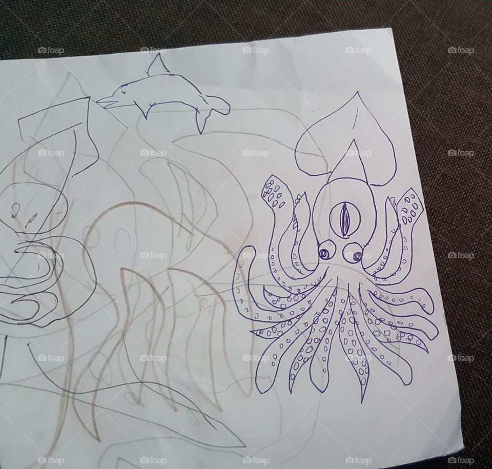 Octopus