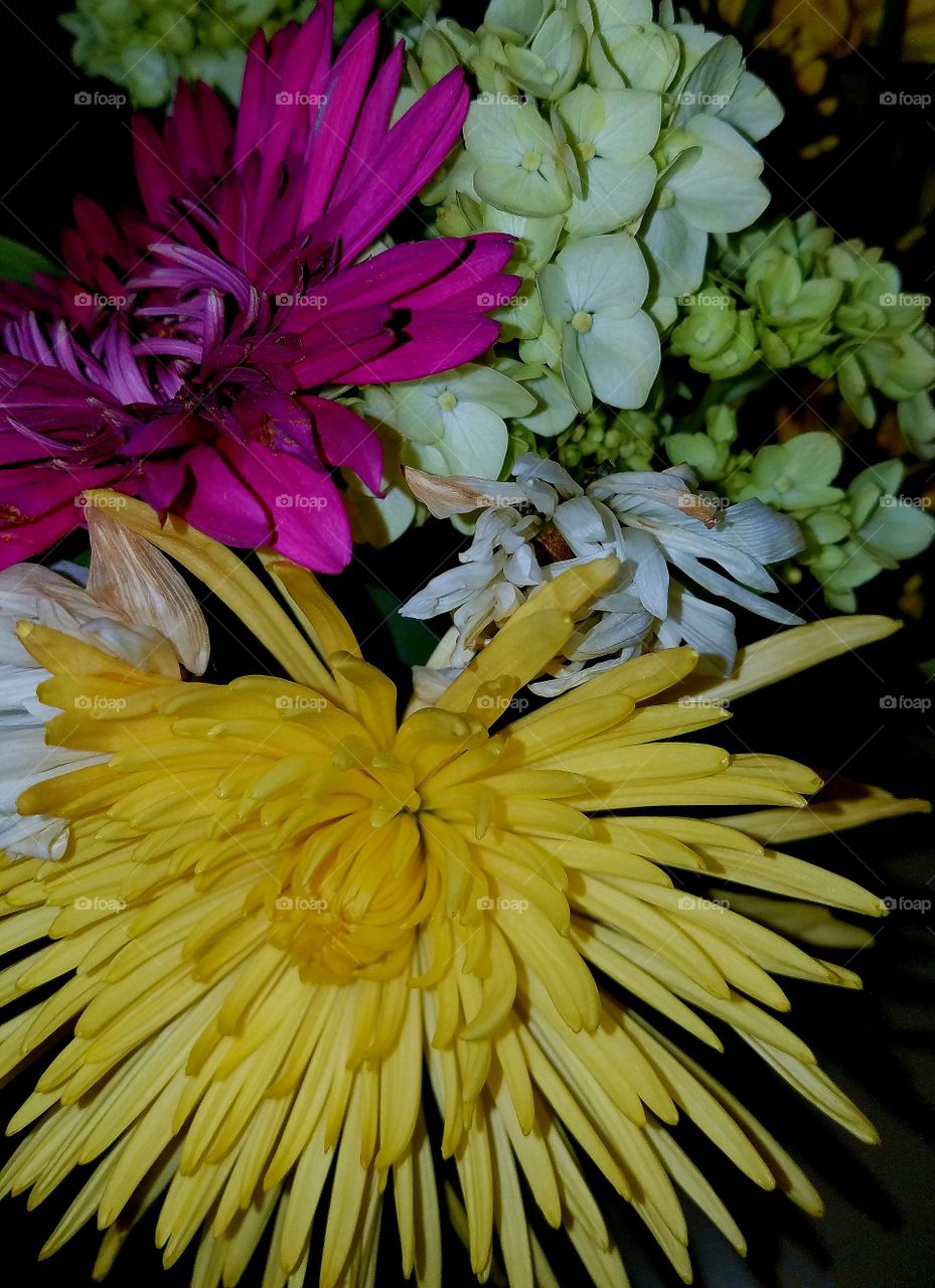 Flowers in vase, colorful bouquet.