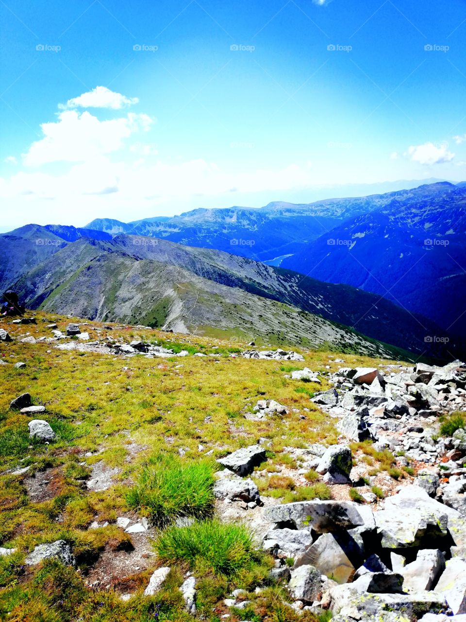 Green grass and blue sky😮