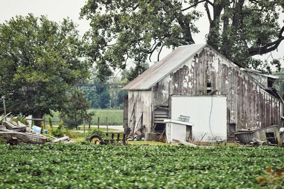 Broken Down Barn