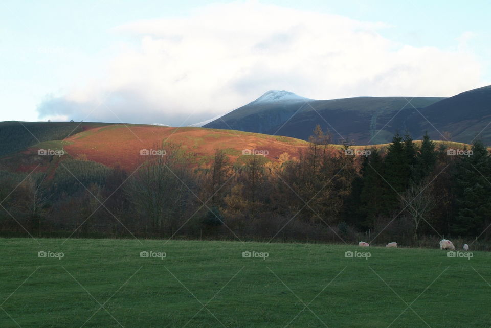 Lake District 