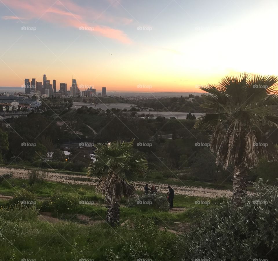 Elysian Park sunset