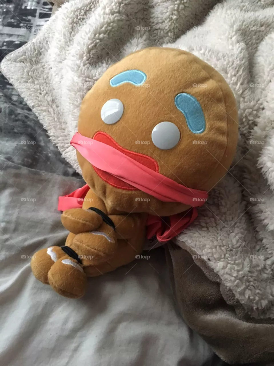 biscuit