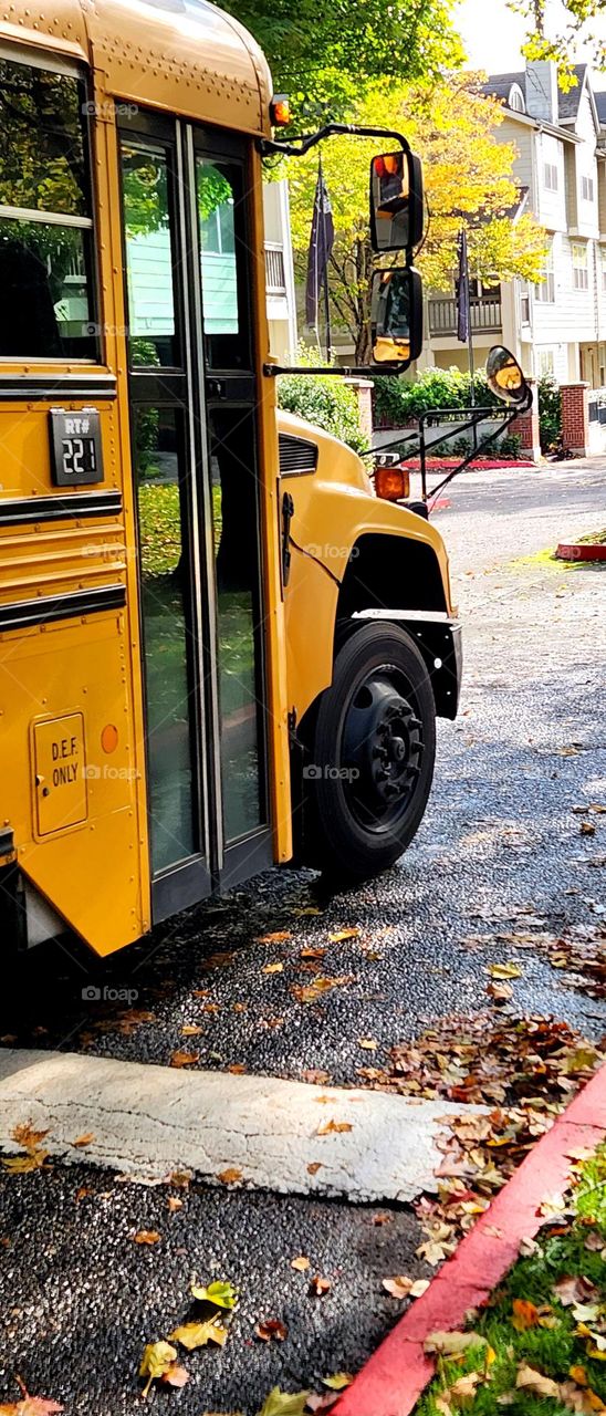 close up view of a yellow school bus driving through fallen leaves on an Autumn afternoon in Oregon suburbs