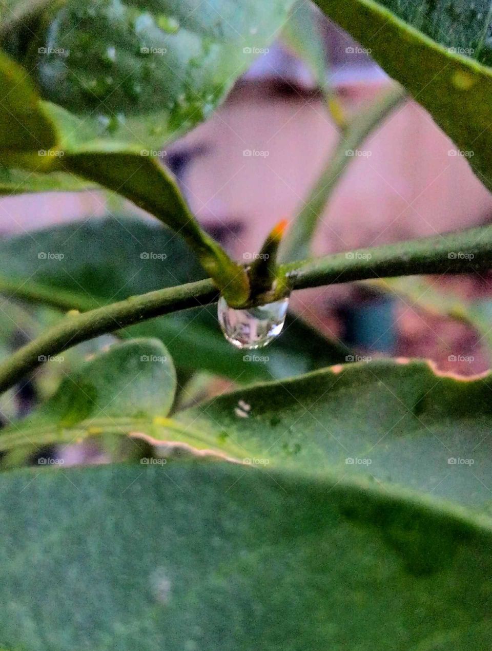 a drop