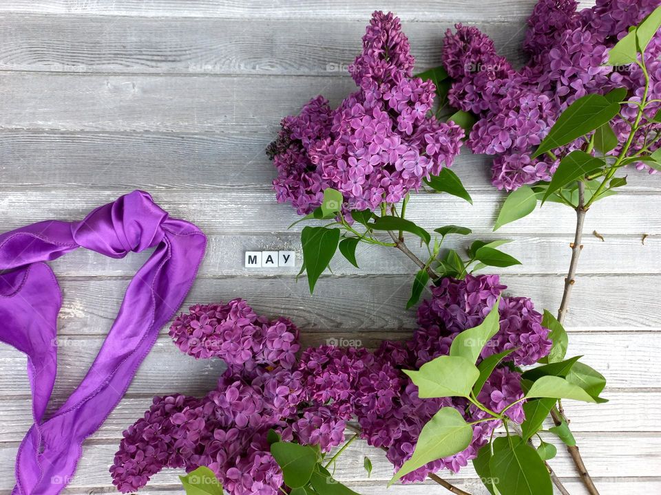 purple lilac flowers.