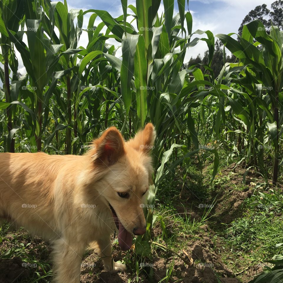 Having fun in summer 