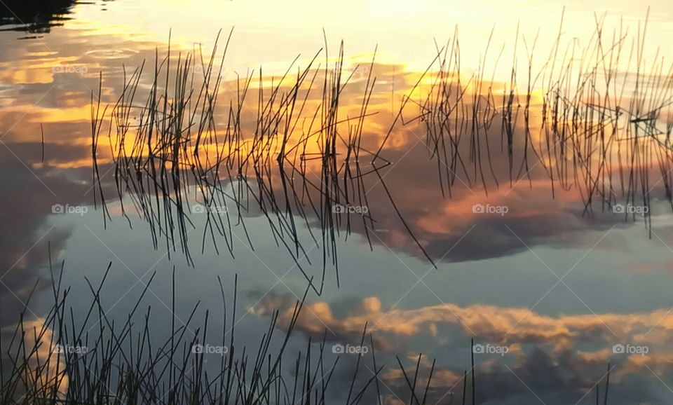 Reflection on the Lake