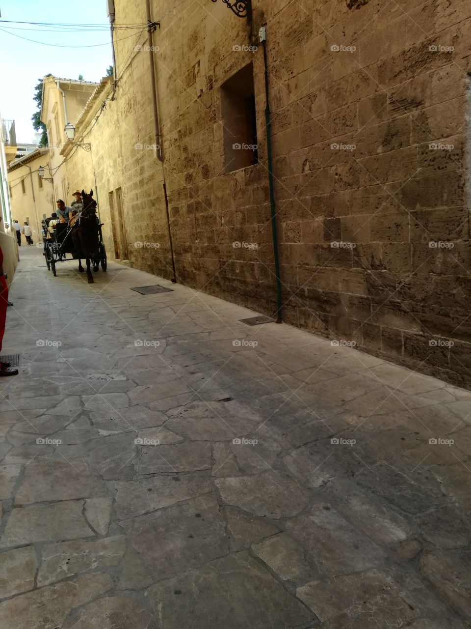 Palma city horse and cart