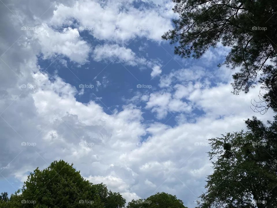 The view from the back yard 