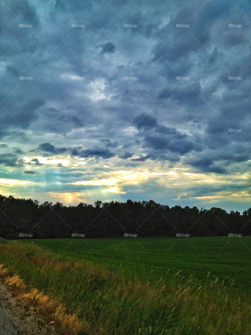 landscape sky green field by somebeach