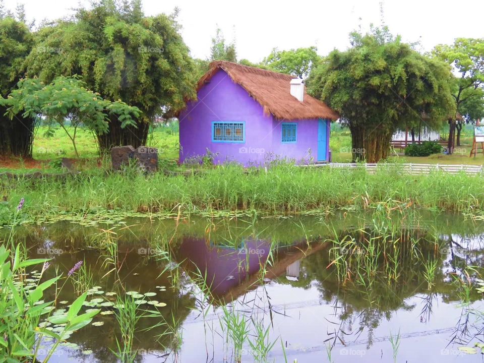 spring is colorful,  Romantic color