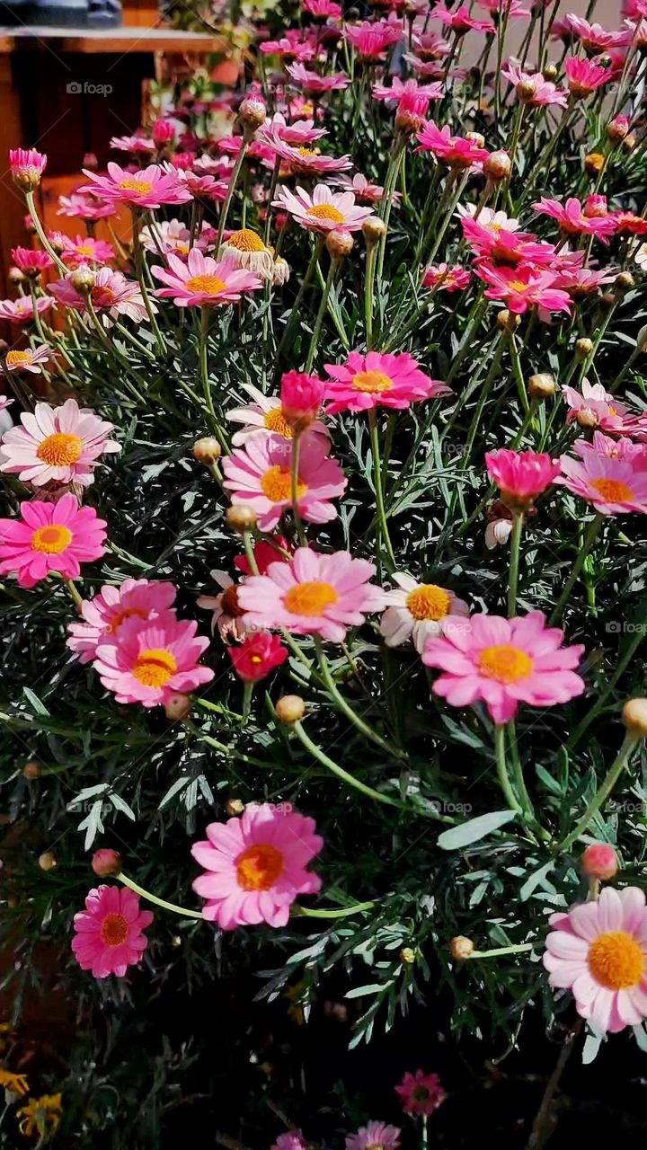 find happiness in the little things