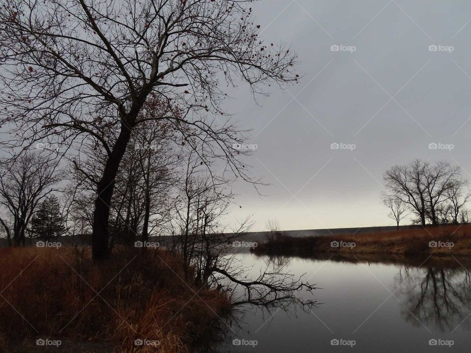 Foggy day over the pond. "Calm Before the Storm".