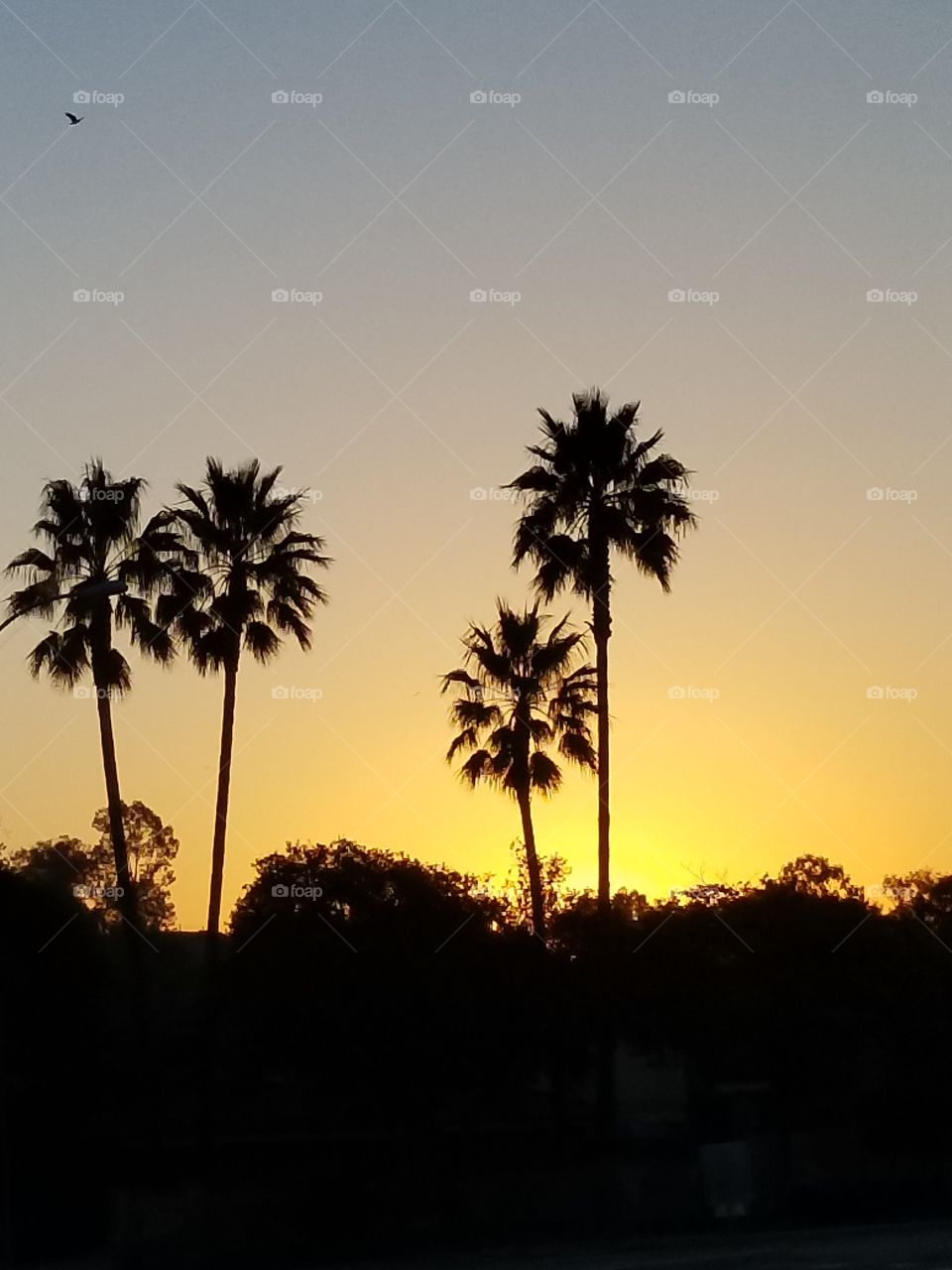 California sunrise