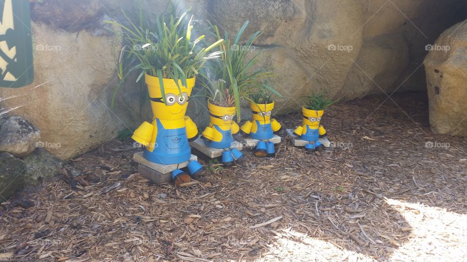 Minion pots with