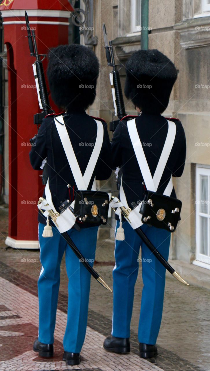 Danish royal guard

