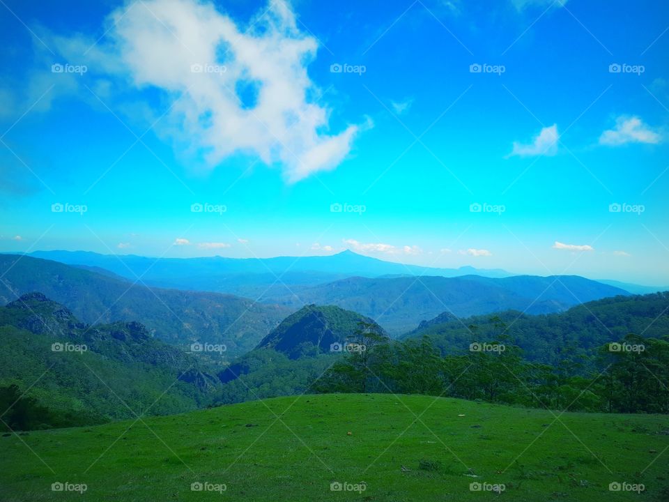 Nature in mutis montain