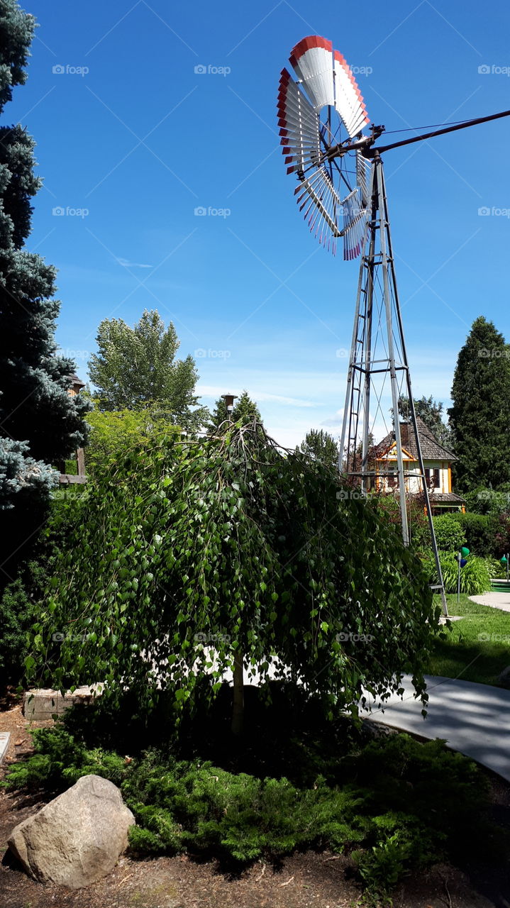 A Weeping Willow Next to a Windmill