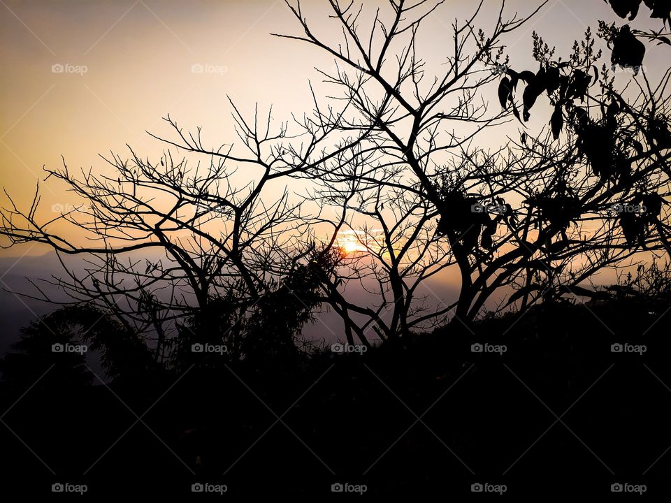 A beautiful silhouette moment showcasing light and shadow work