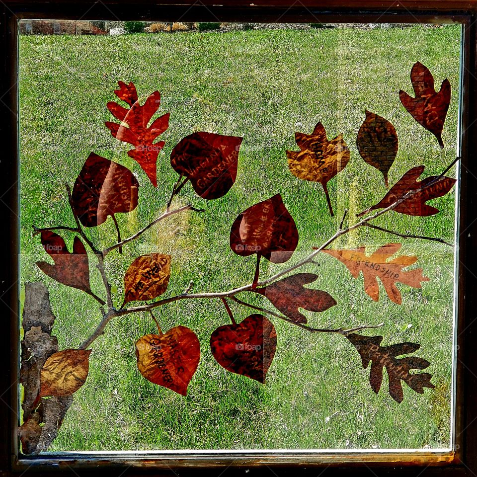 leaves in glass against grass