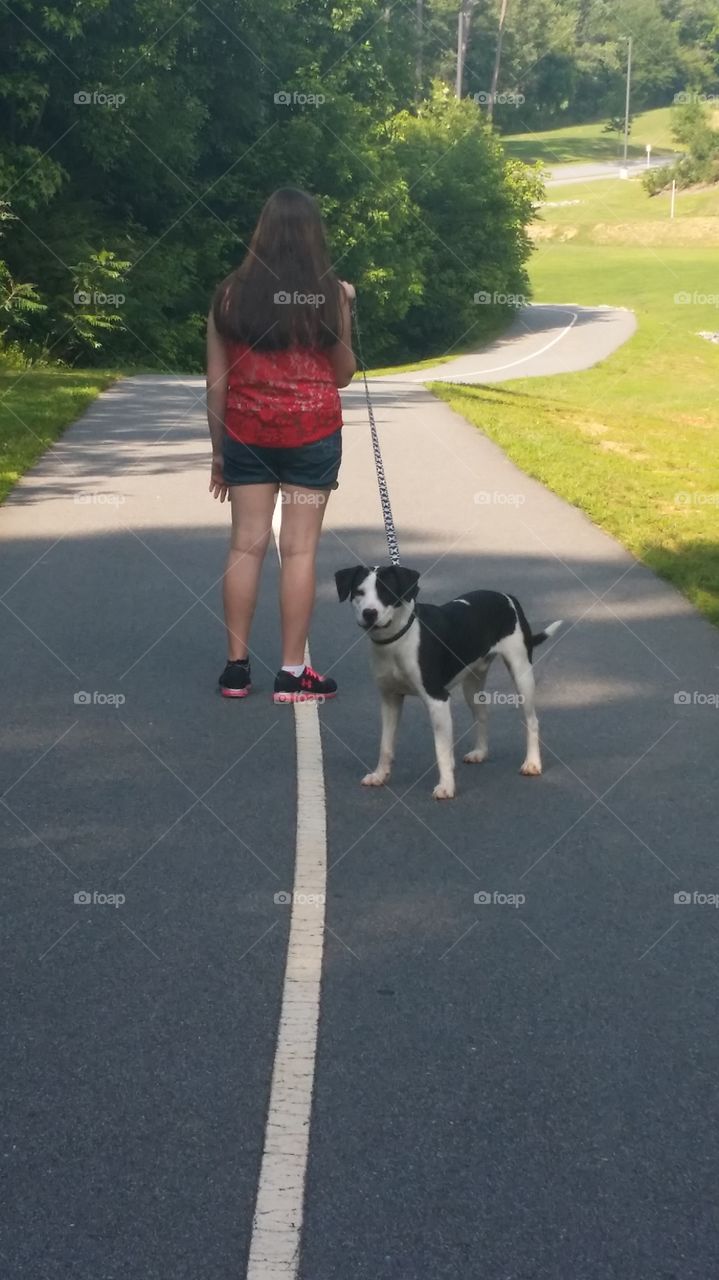 girls best friend 2. walking the dog