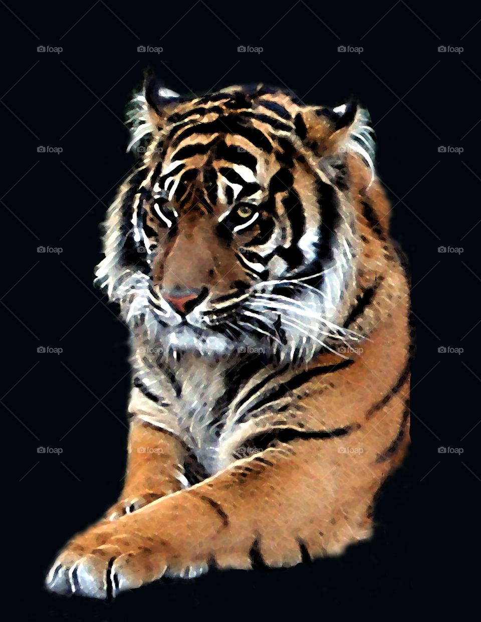 Orange tiger with black stripes and green eyes portrait.  Titles"Tiger in the Night".