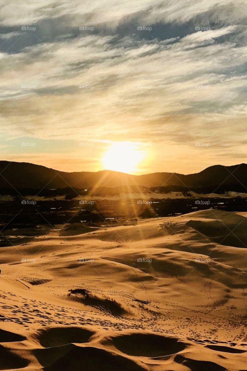 Dunas da praia de São Joaquina, SC Brasil 