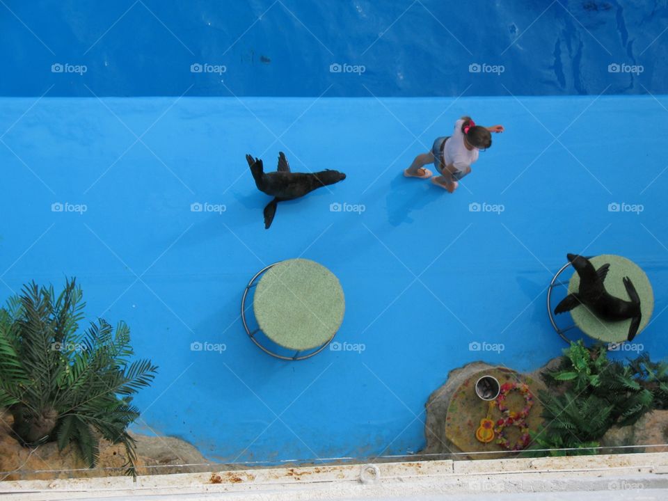 Dolphinarium Odessa дельфинарий Одесса