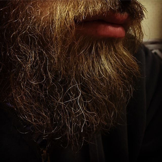 Gray hair beard
