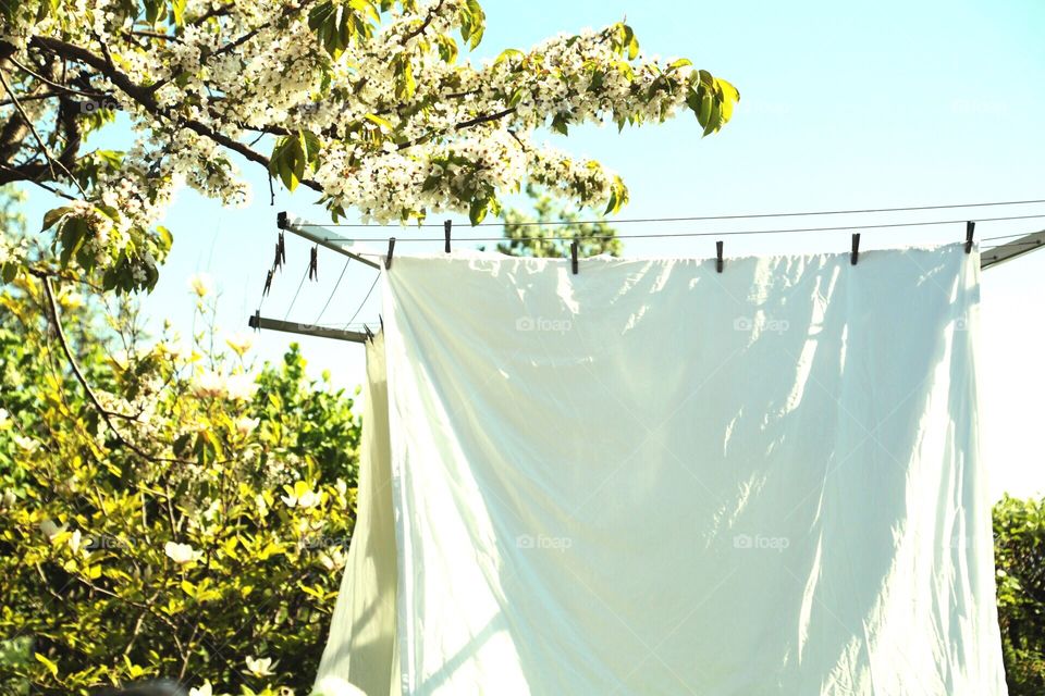 White sheet drying in the wind