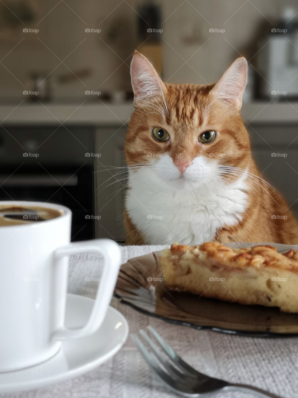 An adult beautiful ginger cat sits at the kitchen table, on which stands a white cup of coffee and a piece of cake on a plate and looks at the camera.