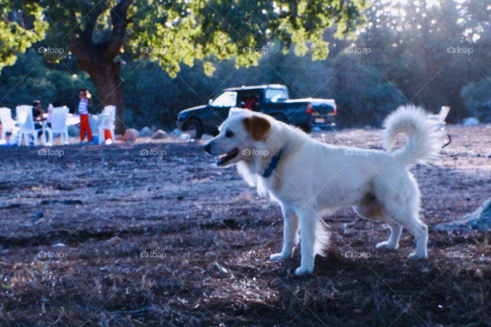 Beautiful moments with max .