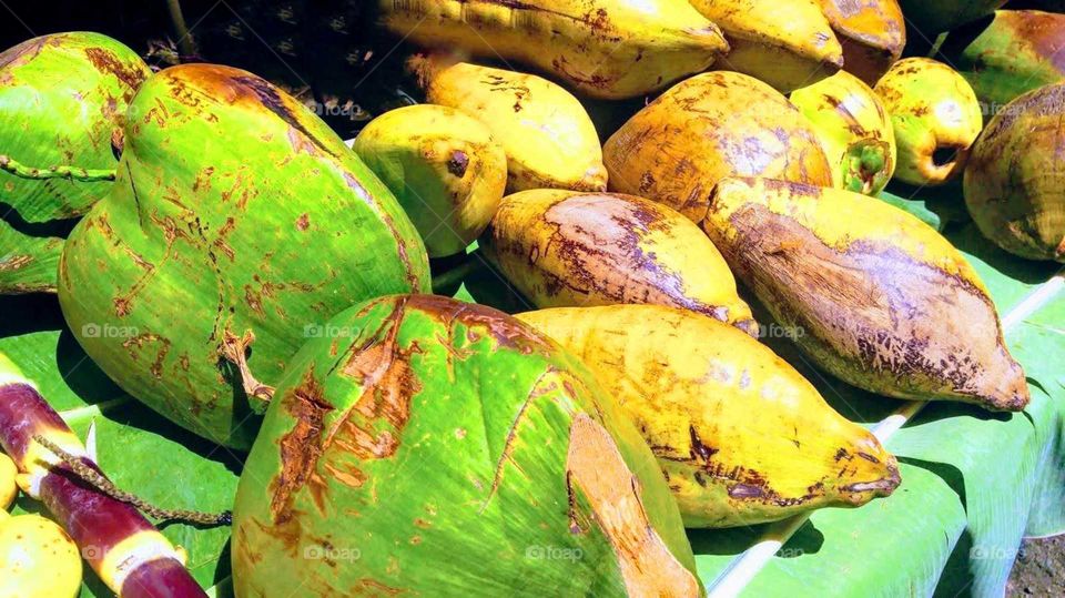 ripe tropical coconuts