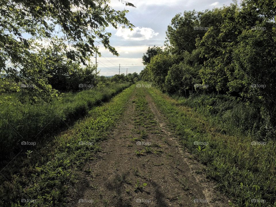 Walk down the Old Creamery Trail which is a former railroad line turned walking trail. 