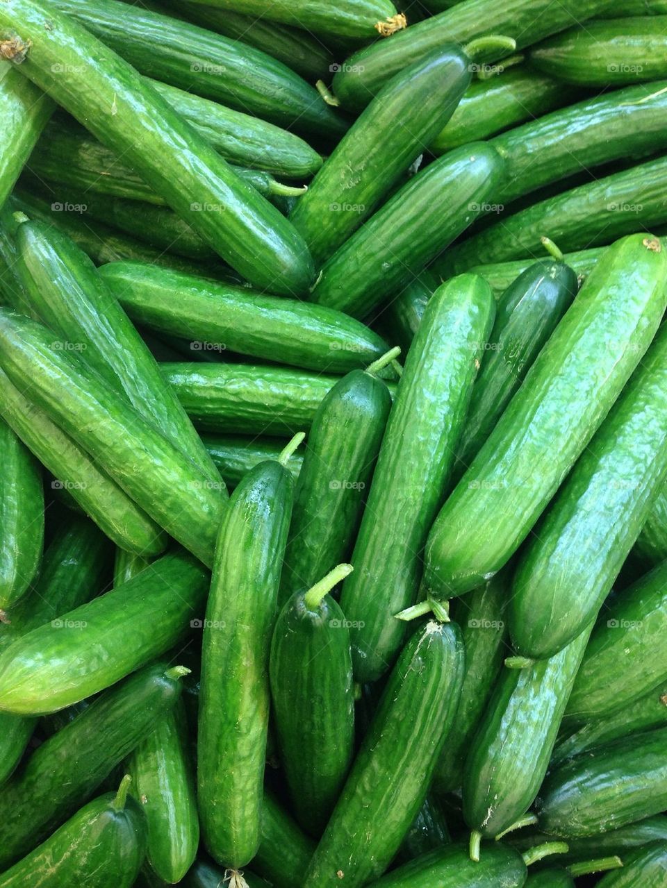 Full frame shot of cucumber